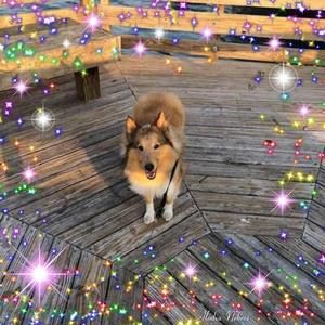 Meet your Posher, Jan